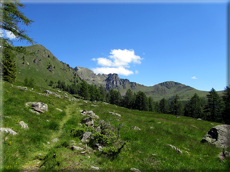 foto Malga Valsorda